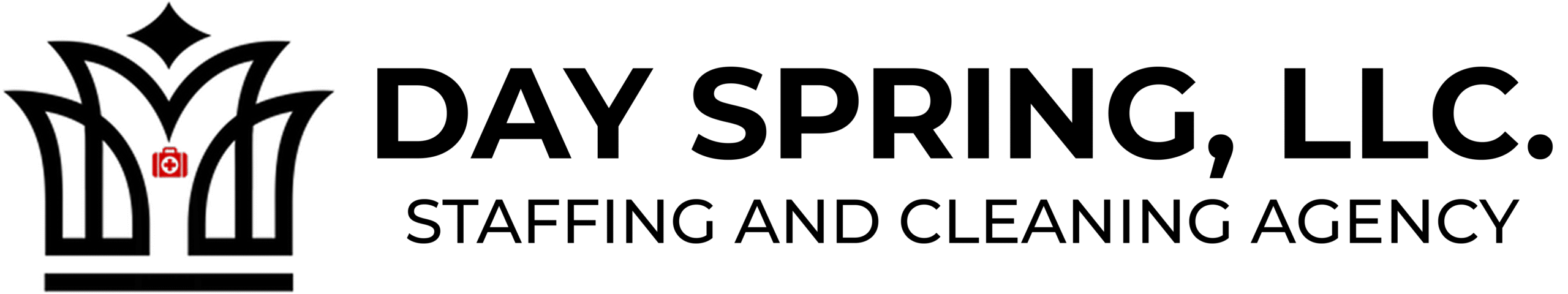 Day Spring Horizontal Logo - Black